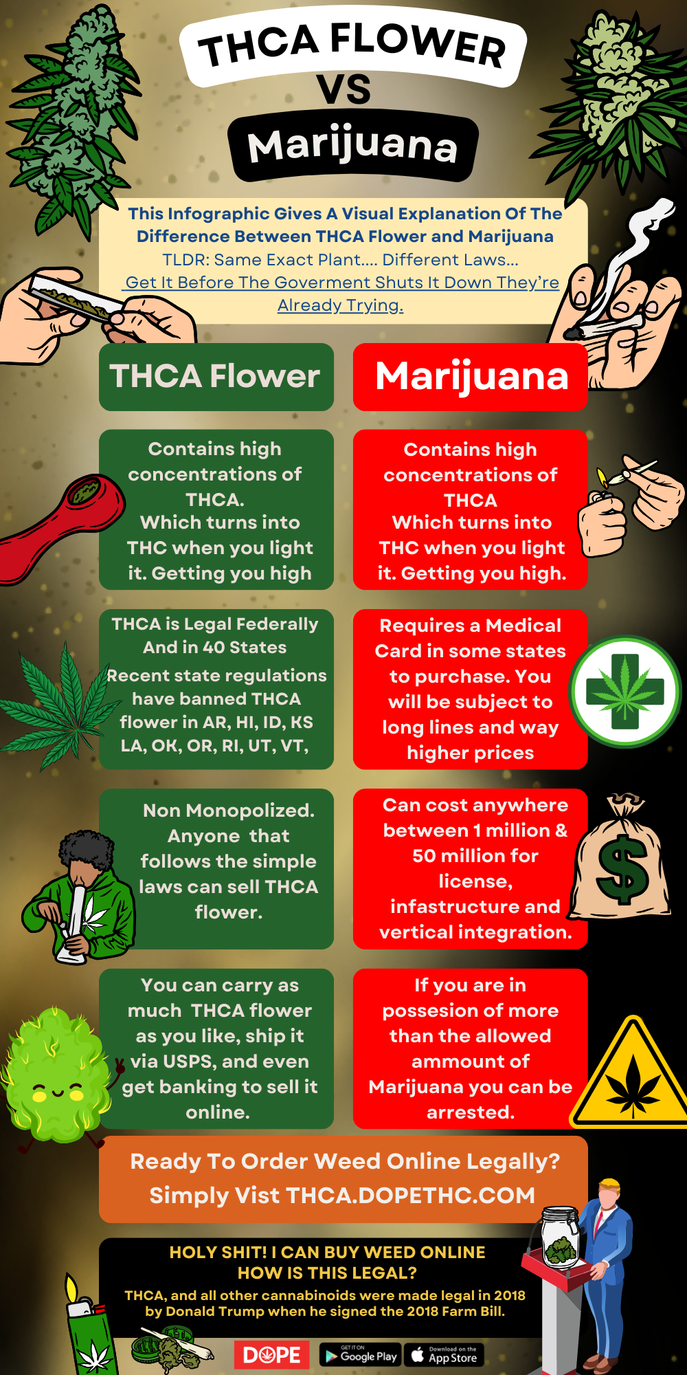 THCA VS WEED